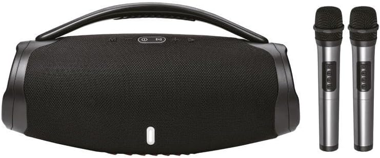 40W 3000 Mah Çift Mikrofonlu Taşınabilir Bluetooth Hoparlör BTS-X300