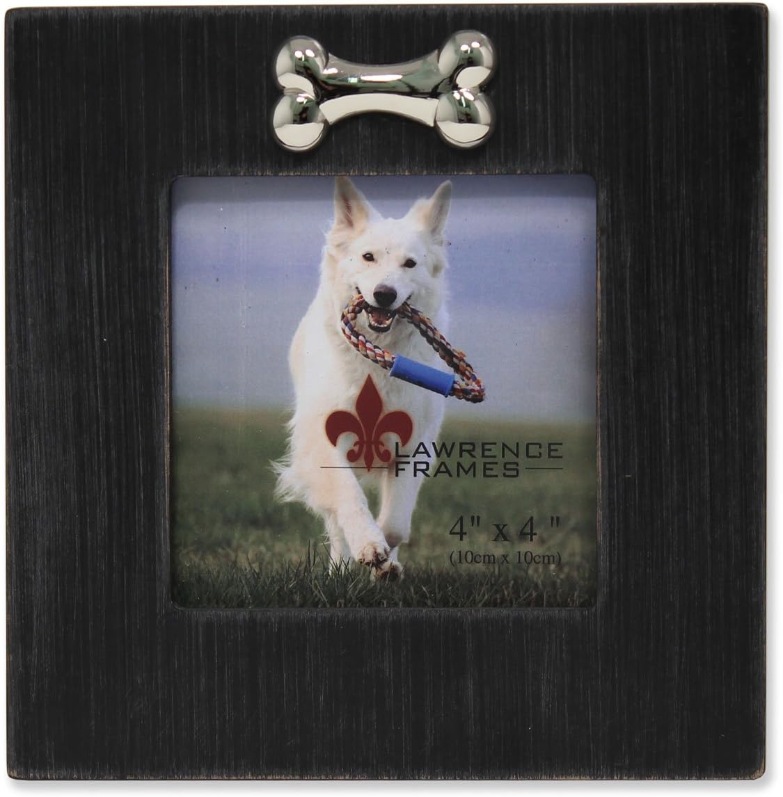 Köpek Kemikli Çerçeve, 10x10 cm, Siyah