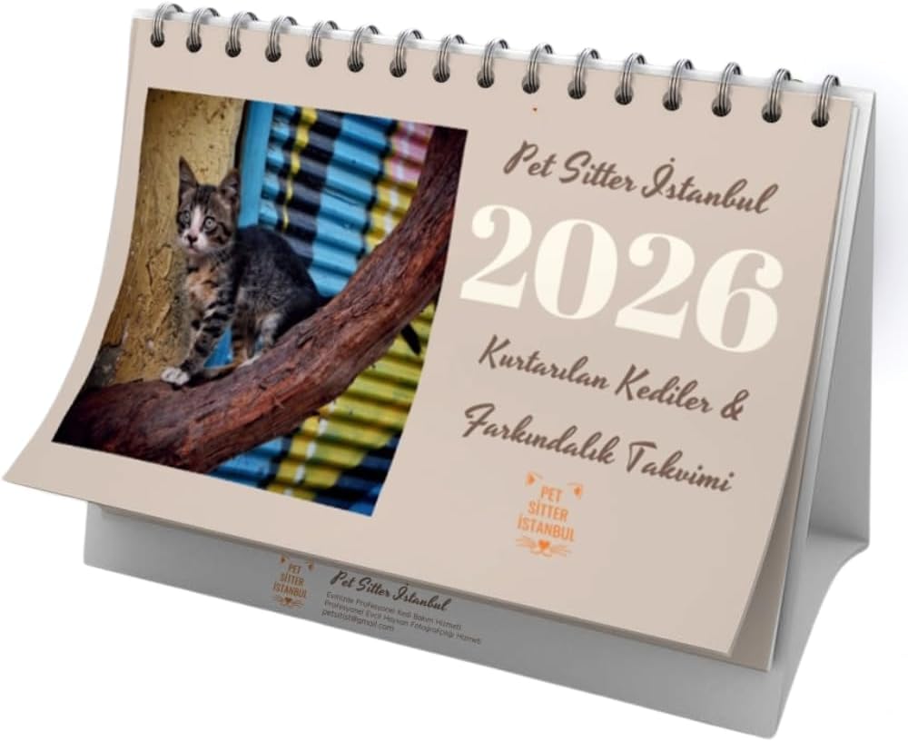 Pet Sitter Istanbul 2026 Takvim, Kurtarılan Kediler ve Farkındalık Günleri, Evcil Hayvan Tatilleri Temalı Masa Takvimi