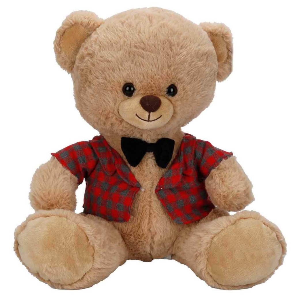 4810 Peluş Ayı Elbiseli 32CM 2A