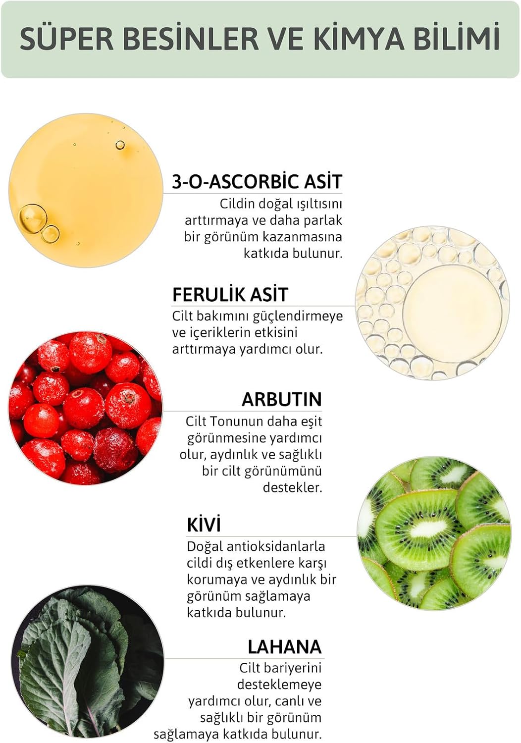 Aydınlatıcı Renk Tonu Eşitleyici Leke Karşıtı C Vitamini Arbutin Serum Ascorbic Acid 10 + 0.5 Fer.