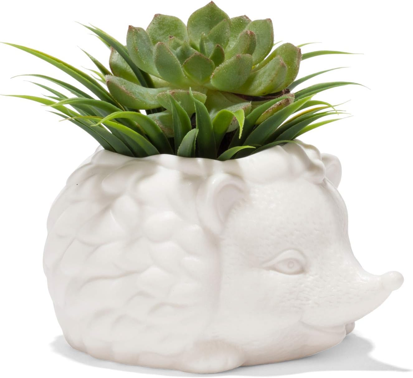 Kirpi Saksısı - Sevimli Seramik Hayvan Sukulent Bitki Saksısı - 7,8 cm x 14,8 cm x 13 cm