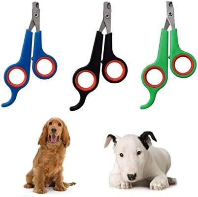 Kedi Köpek Tırnak Makası Renkli