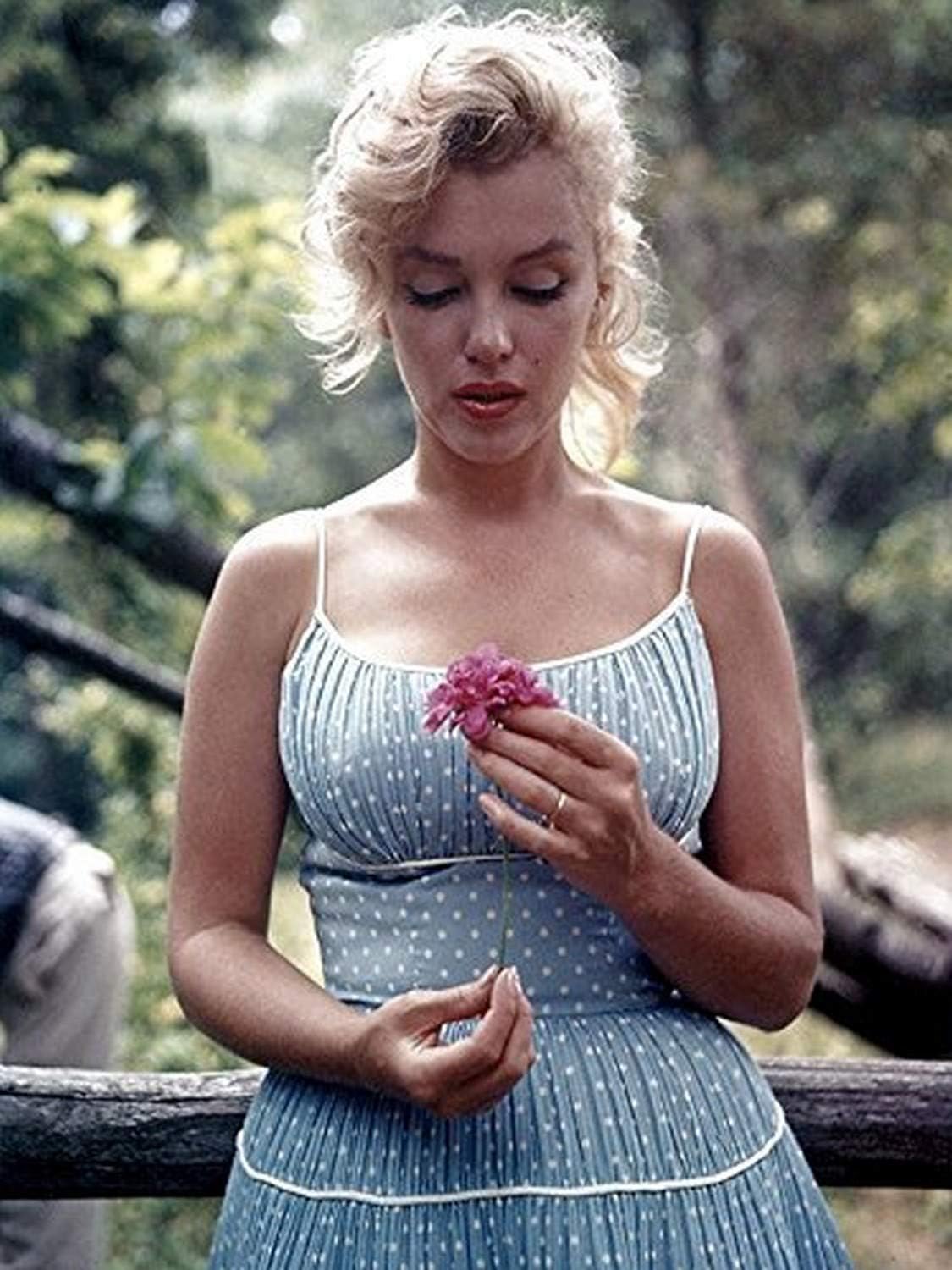 Marilyn Monroe'nun Çiçekli Nadir Fotoğrafı 12x16 Sanat Baskılı Poster ABD'de Üretilmiştir