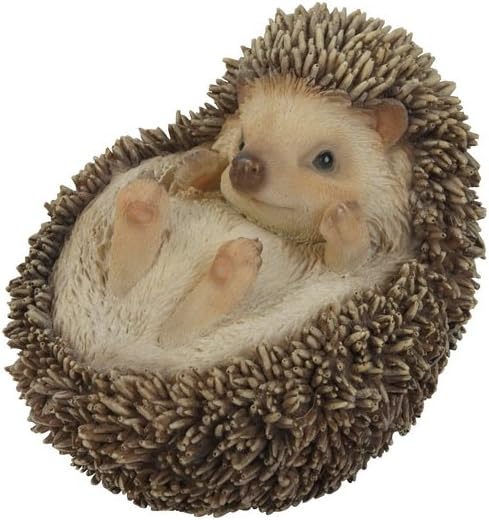 Geschenk LTD Igel auf der Rückseite Statue