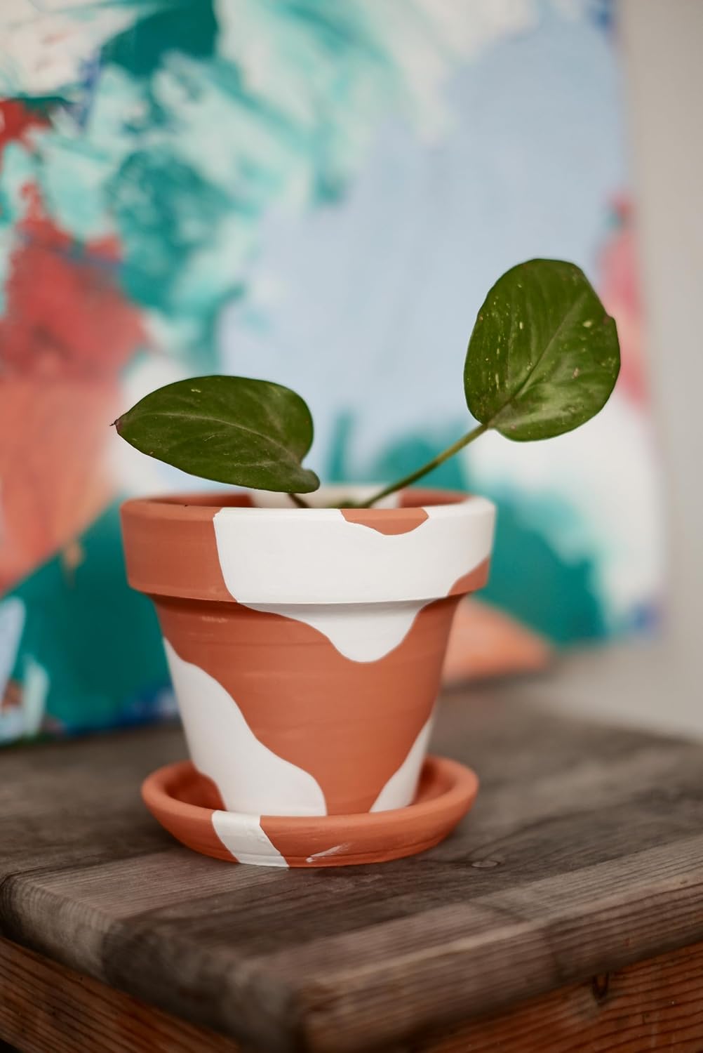 Terracotta Konik Saksı+Tabak • Bohem Beyaz (Büyük)