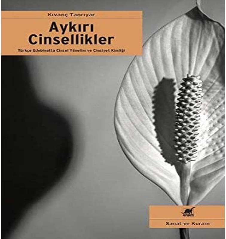 Aykırı Cinsellikler: Türkçe Edebiyatta Cinsel Yönelim ve Cinsiyet Kimliği
