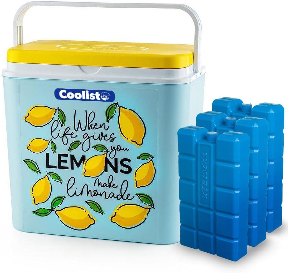 CLB30LM Limon Desenli Buzluk, 30 Litre + 3 Adet Buz Kaseti 400gr