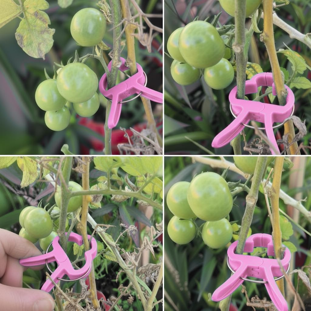 Bitki Bağlama Destek Mandalı 10 Adet Mini Boy (Pembe)