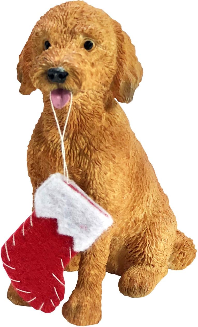 Noel Süslemeli Goldendoodle Noel Süsü, Çok Renkli (XSO24201)