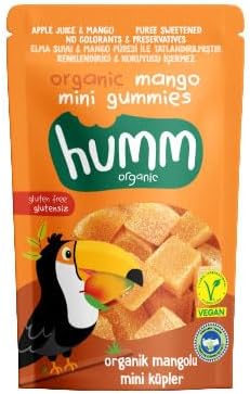 Organik Glutensiz Vegan Mangolu Mini Küpler - 30g