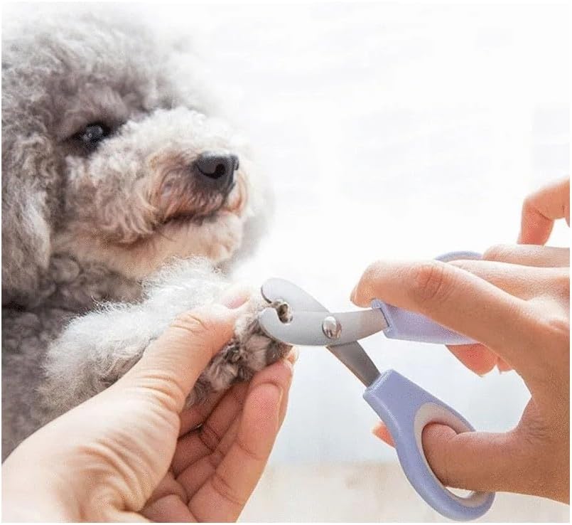 Kedi Tırnak Makası Çelik Ergonomik Tutuş Evcil Hayvan Köpek Tırnak Makası (Garantili)