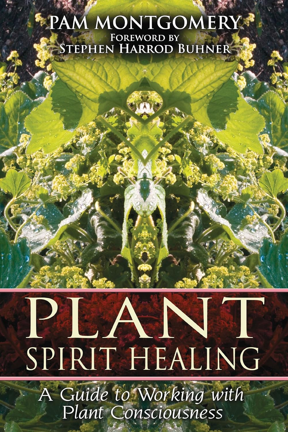Plant Spirit Healing: A Guide to Working with Plant Consciousness (Kapak Resmi değişebilir)