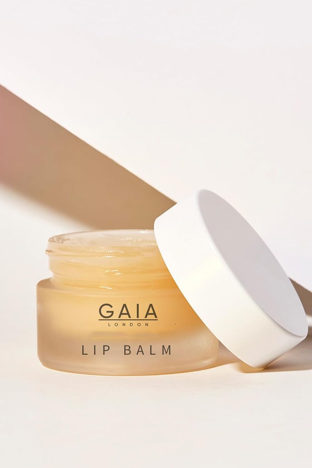 Lip Balm Nemlendirici Etkili Dudak Balmı Lip Balm 20ml