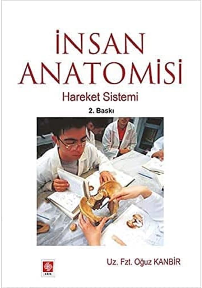 İnsan Anatomisi - Hareket Sistemi