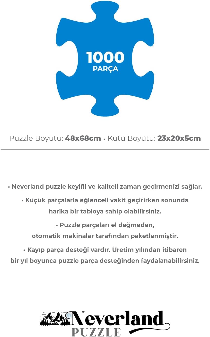 1000 PARÇA PUZZLE - WORLD MAP-II (DÜNYA HARİTASI-II)