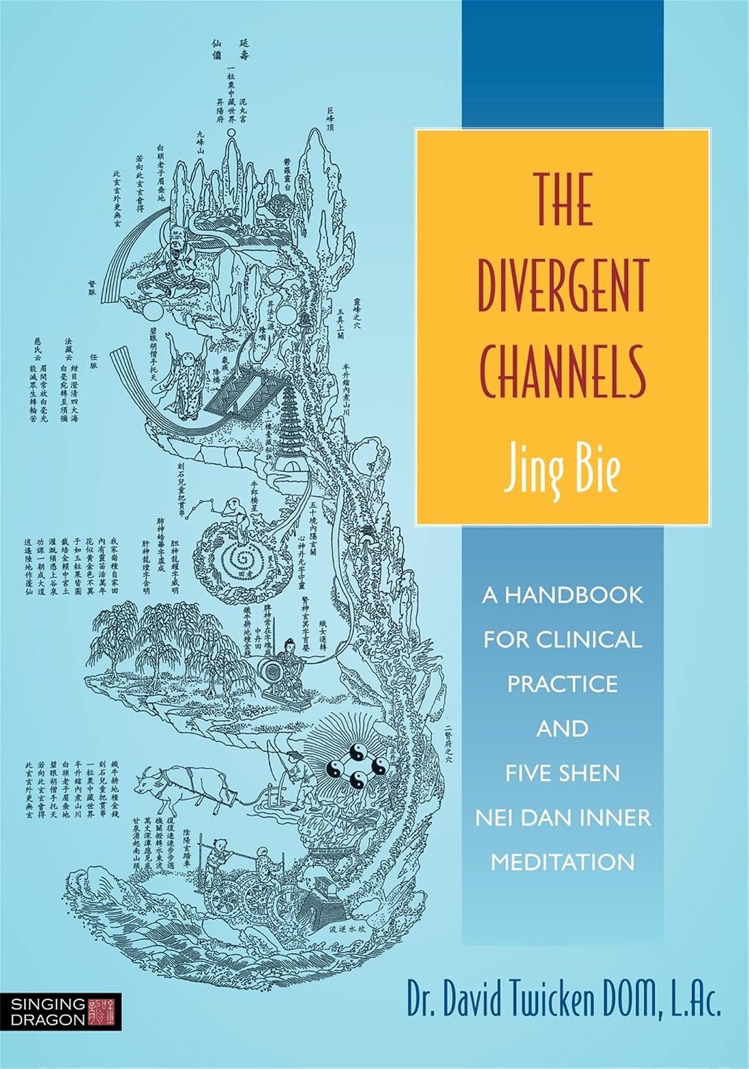 The Divergent Channels - Jing Bie: A Handbook for Clinical Practice and Five Shen Nei Dan Inner Meditation