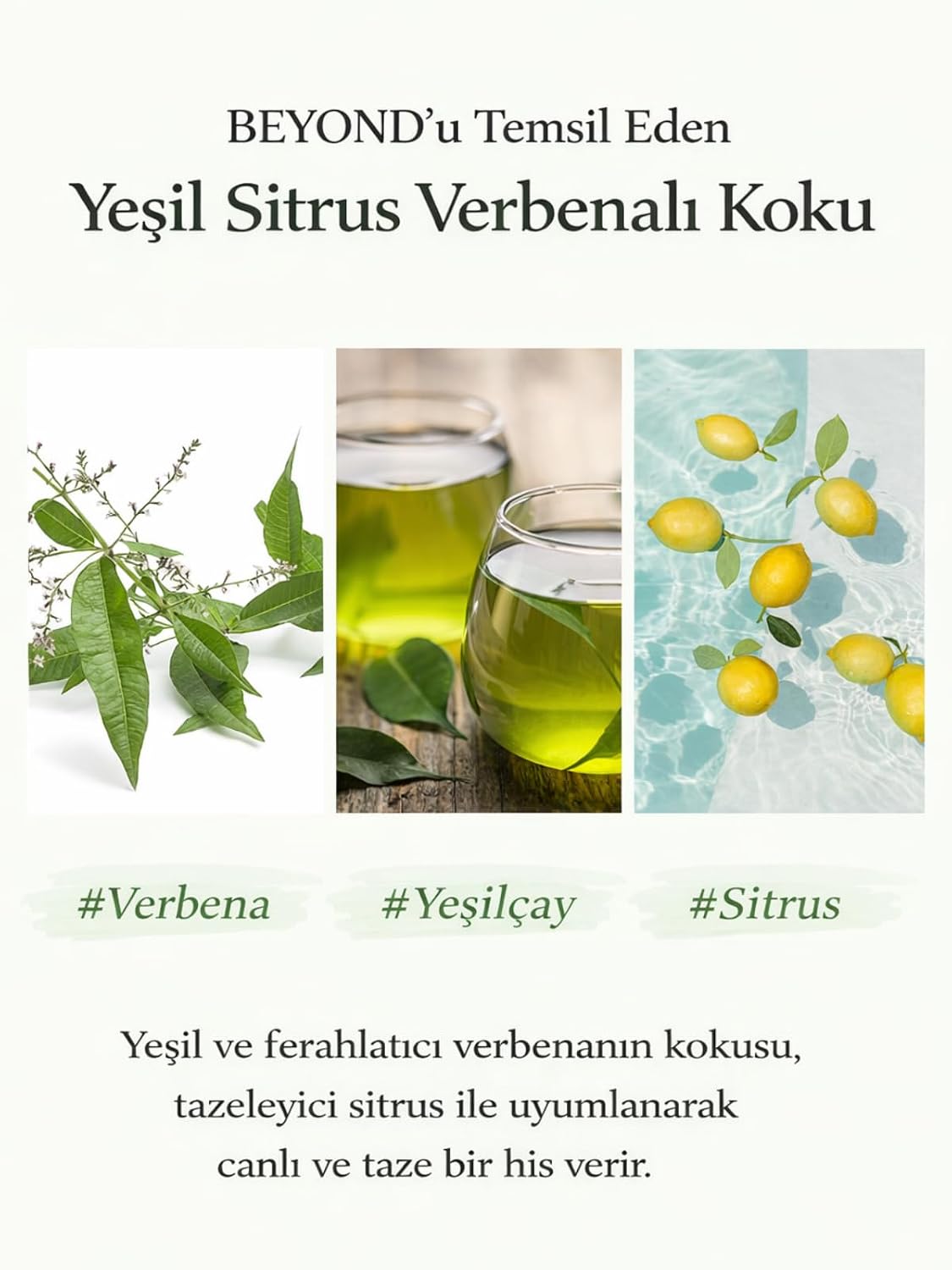 Verbena Refreshing Body Wash Duş Jeli Limon Mine Çiçeği Ferahlatıcı 500 ml Cildinizi Derinlemesine Temizleyerek Ferahlatır