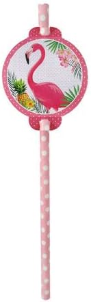 Benim Marifetlerim - Flamingo Karton Pipet 6 Adet