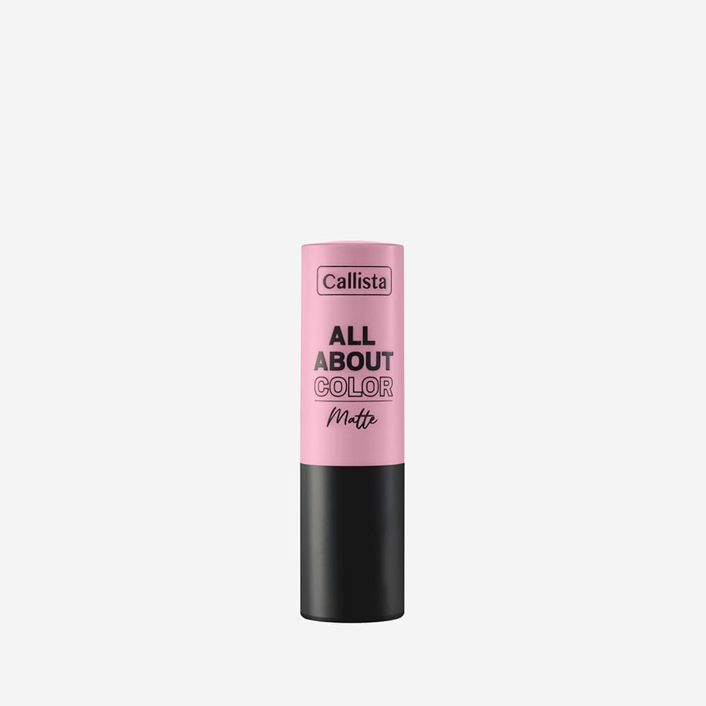 All About Color Matte Lipstick Mat Görünümlü Ruj 504 That Rose, Bordo