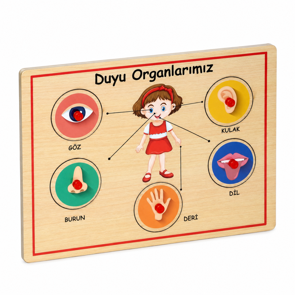 166/167 Ahşap Tutmalı Organlar
