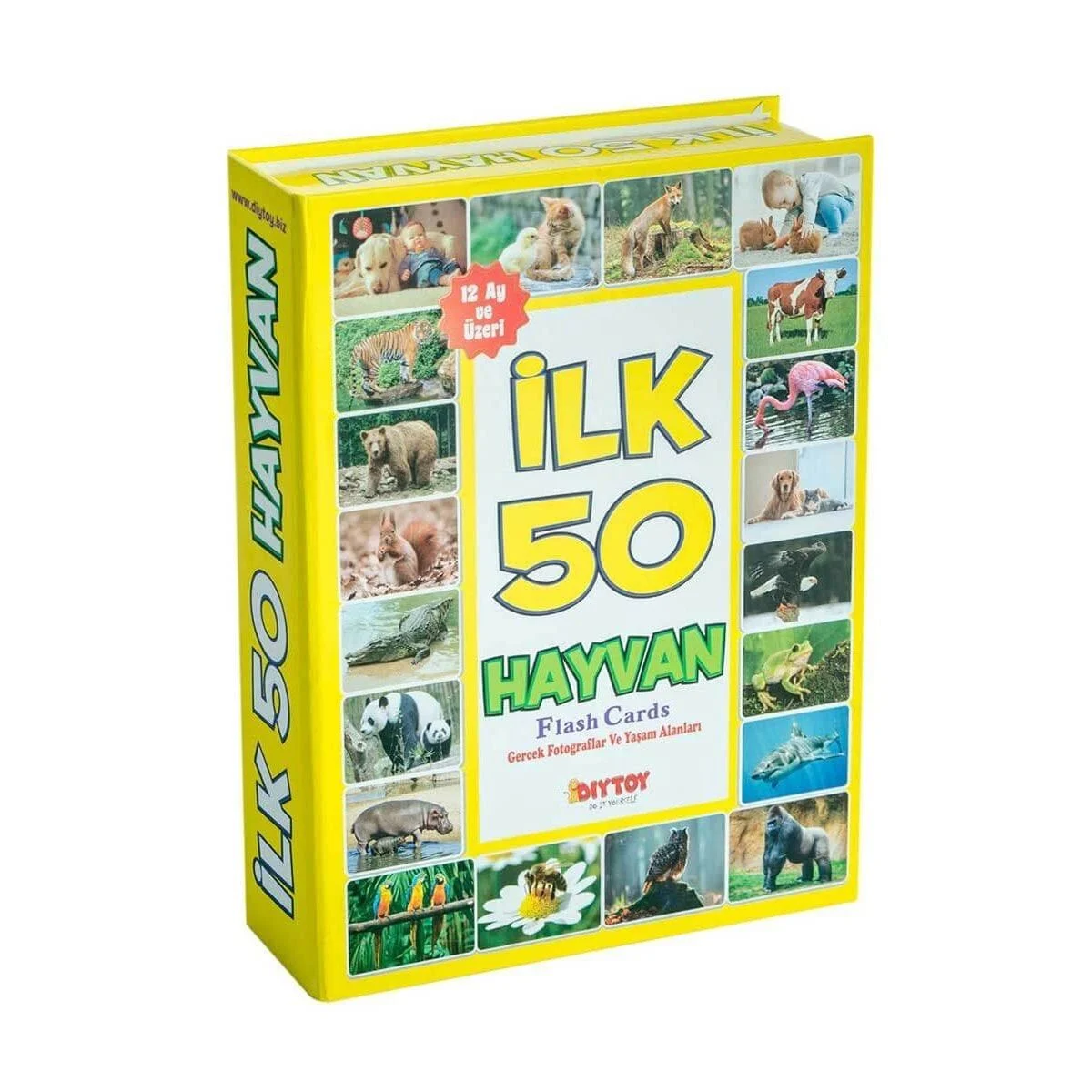 1352 F.cards İlk 50 Hayvan