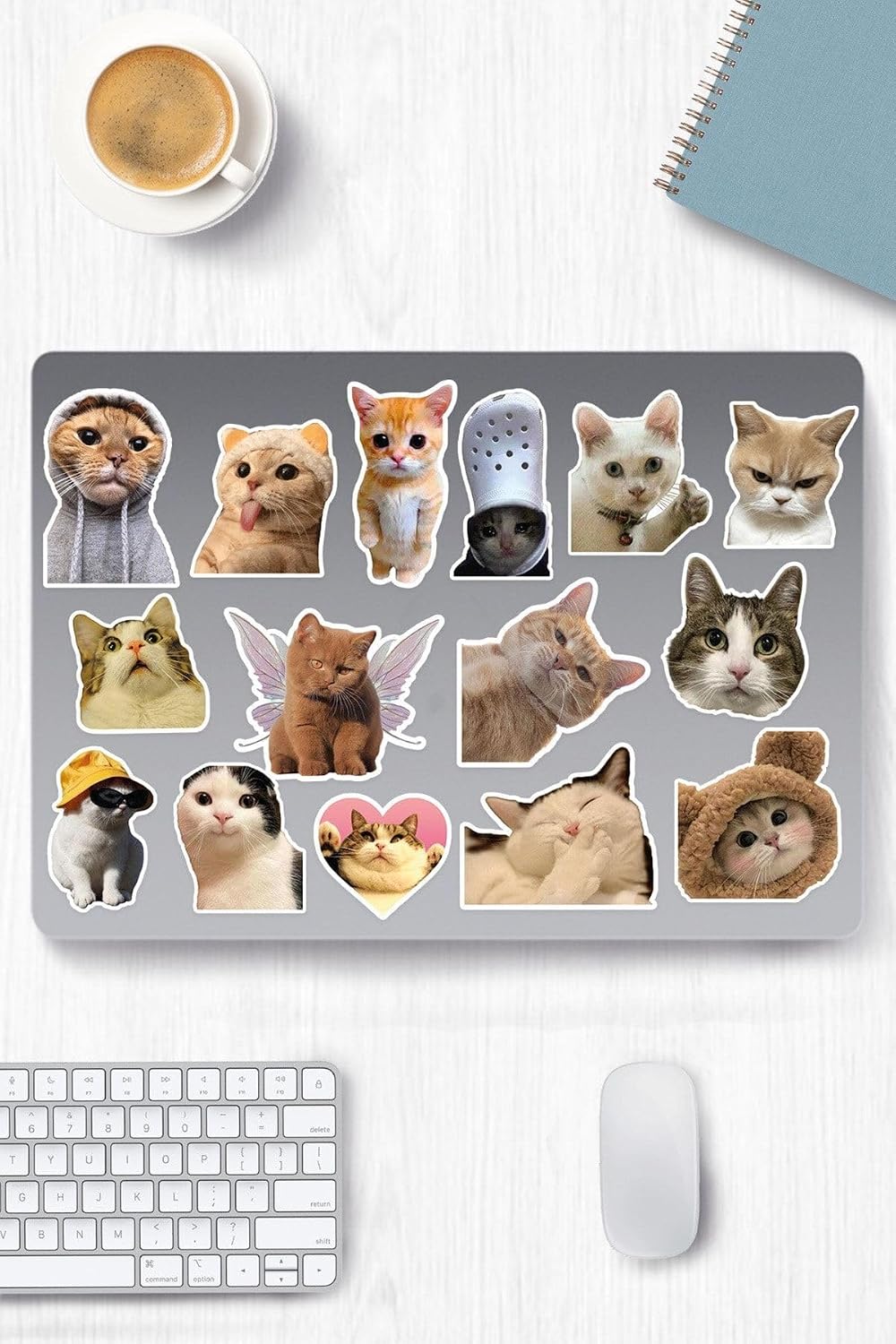 Kedi Temalı Sticker Telefon Laptop Notebook Tablet Defter Matara Stiker Etiket