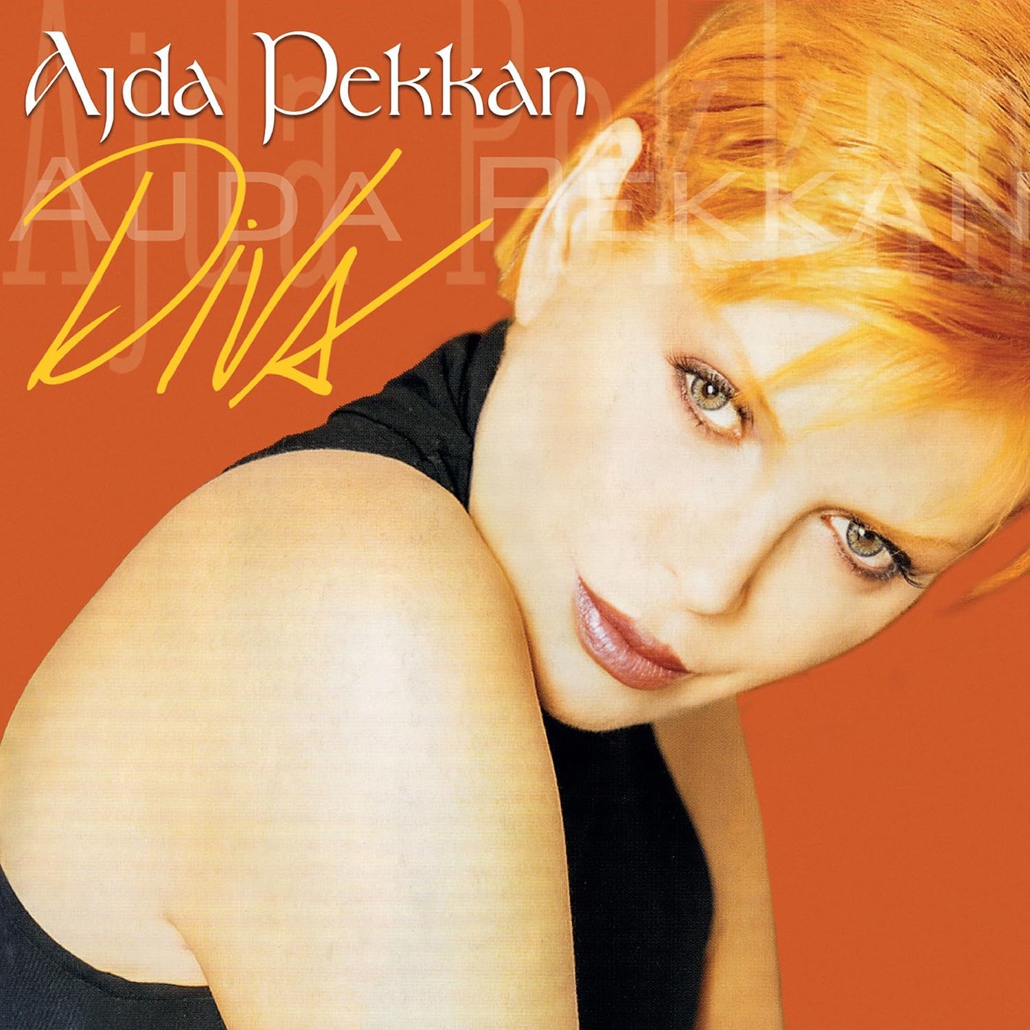 Ajda Pekkan Diva Plak 2LP